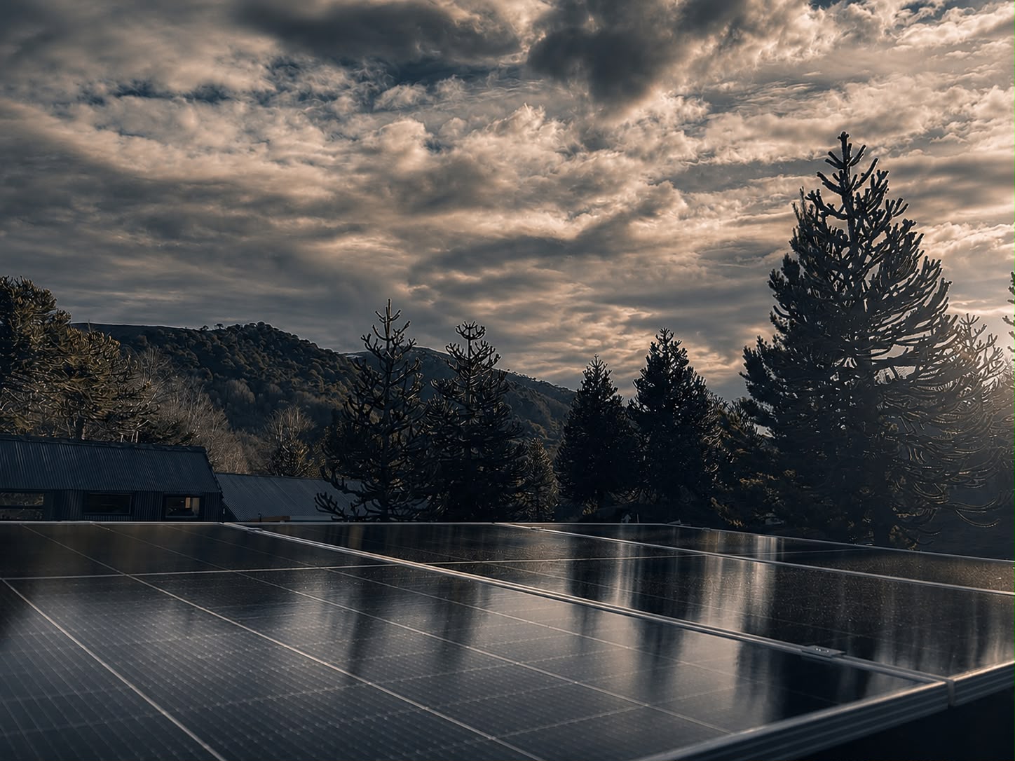 Paneles solares