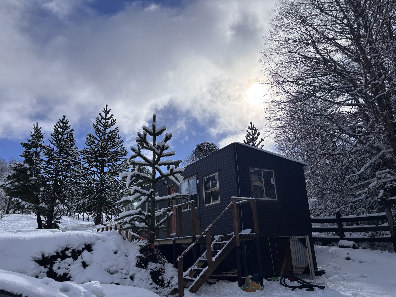 La cabaña entre araucarias nevadas